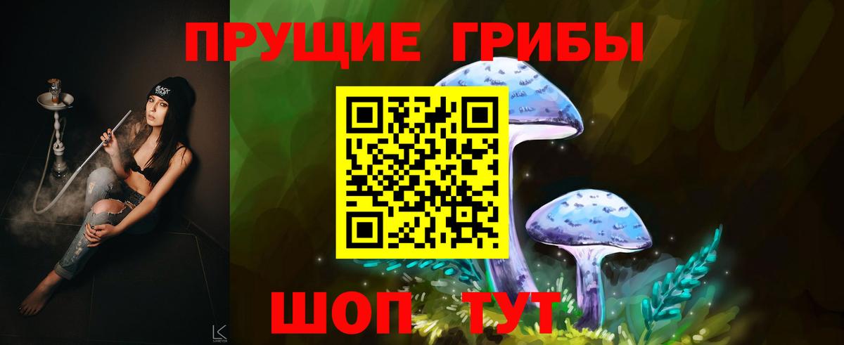 Галлюциногенные грибы мухоморы  Псилоцибиновые грибы мицелий  Семёнов  Вход с VPN 